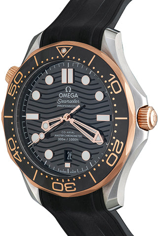 OMEGA SEAMASTER PROFESSIONAL Premium Watches  2918